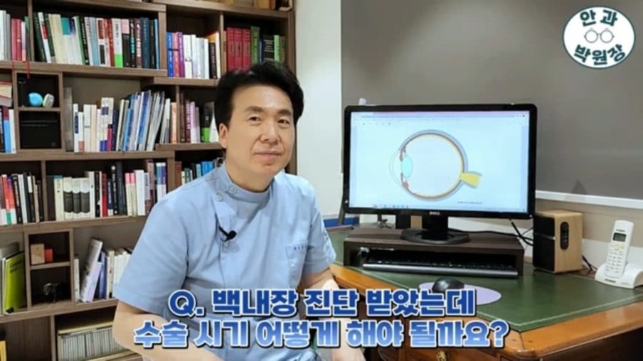 인공수정체 종류 총정리 — 단초점·다초점·연속초점 백내장 렌즈 선택 기준 관련 이미지